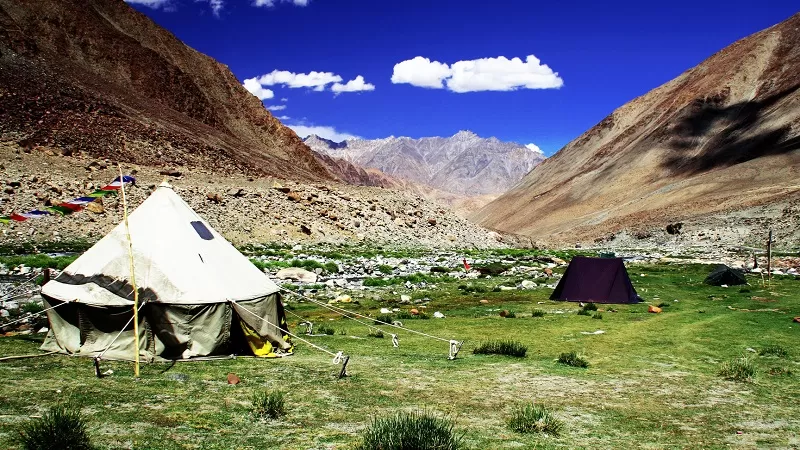 Customized Tours Designed For Your Comfort