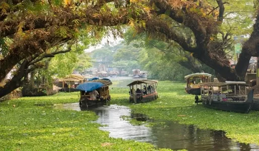 Day 3 – Munnar to Alleppey (Houseboat Stay)