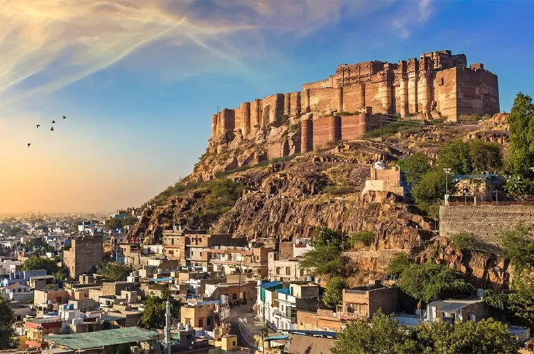 Best of Rajasthan | FREE Jaisalmer Camping Experience